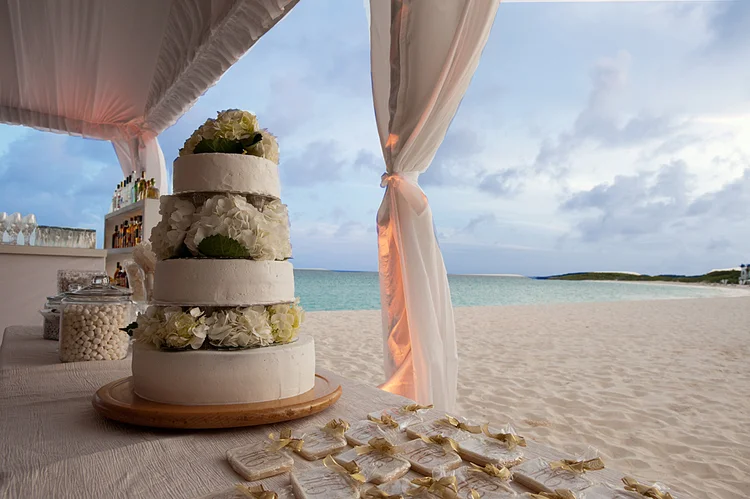 07_Tim_SM_Cake1.jpg