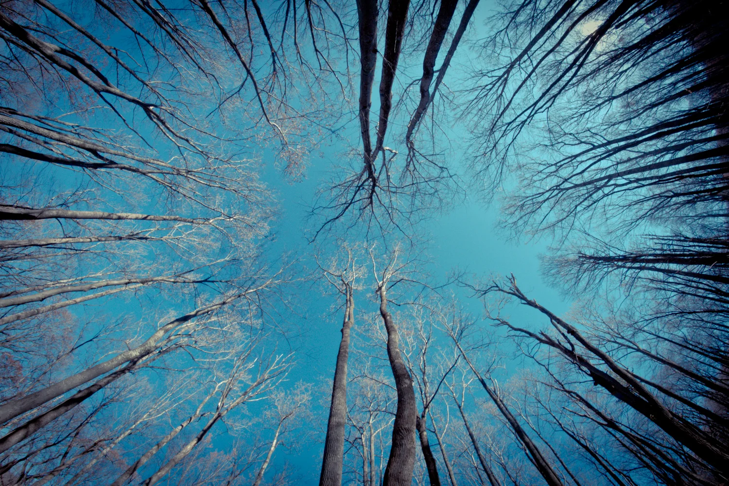 Wilderness (5 of 5).jpg