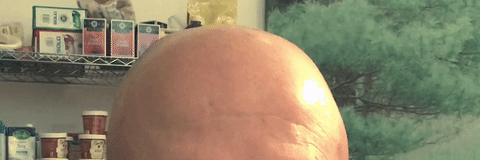 giphy (7).gif