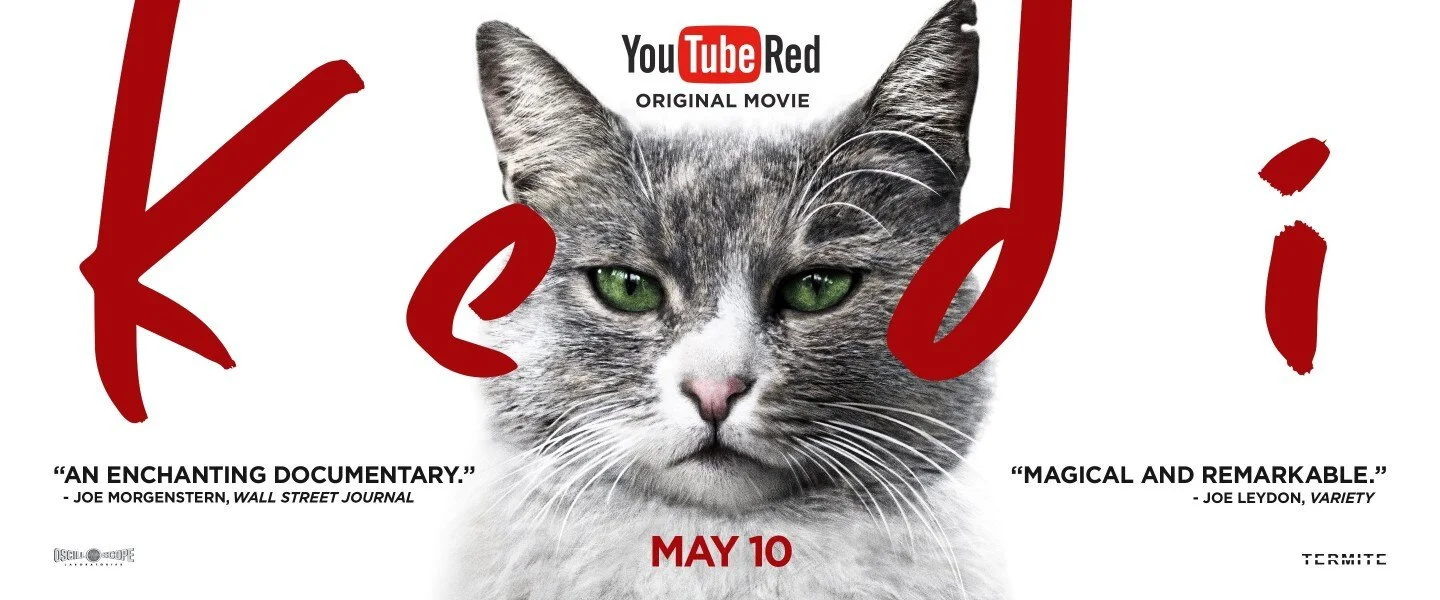 Kedi YT Red Promo.jpg