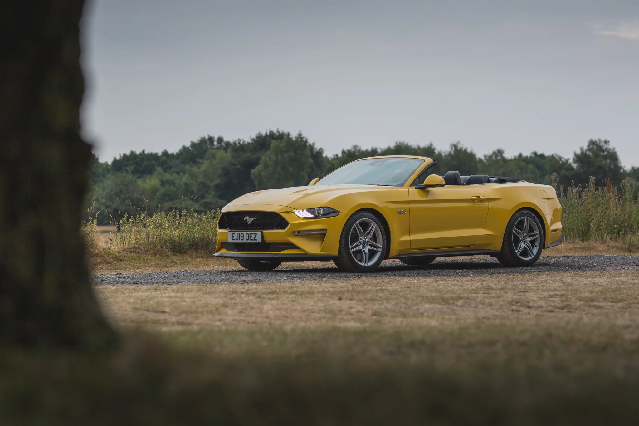 Ford Mustang 2018