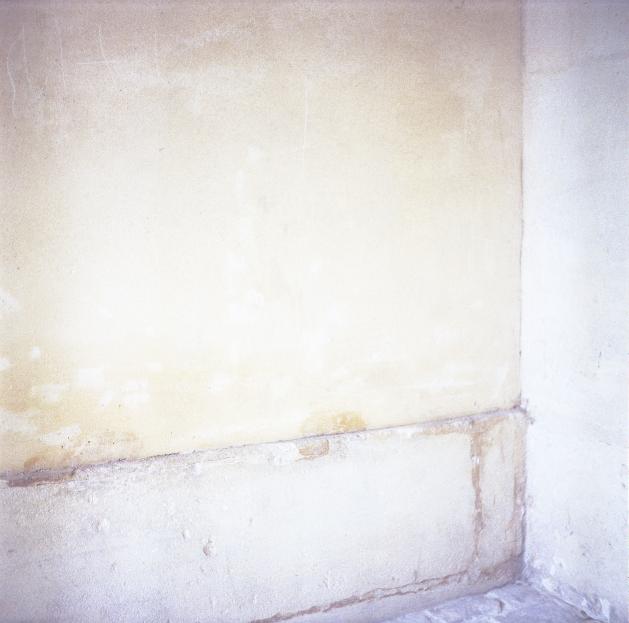 Hiding, archival digital print, 7cm x 7cm, Versailles, France, 2014