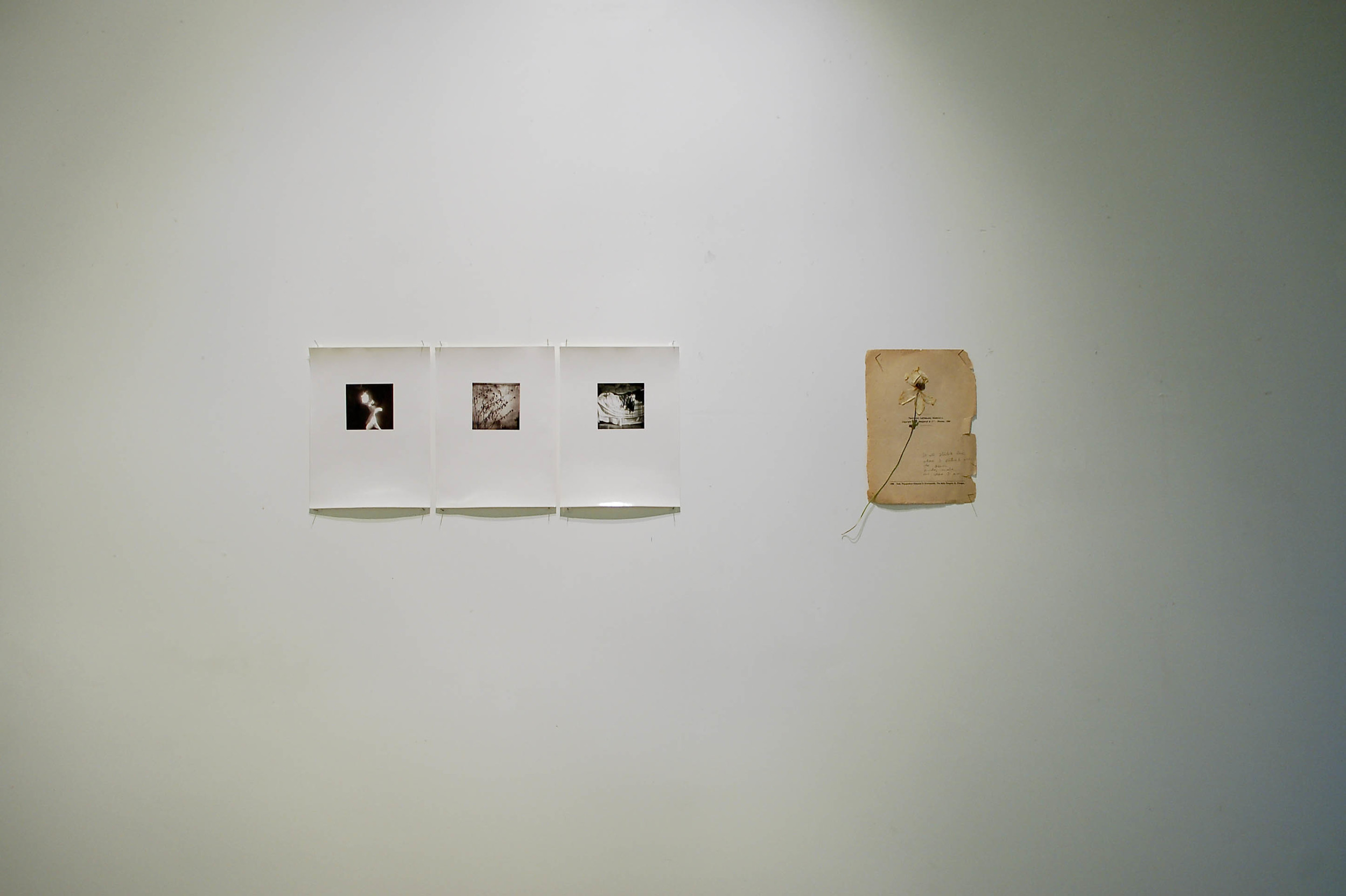 Antoine: I dream of all things , installation view, Maidoff Gallery, Florence, Italy, April 2014