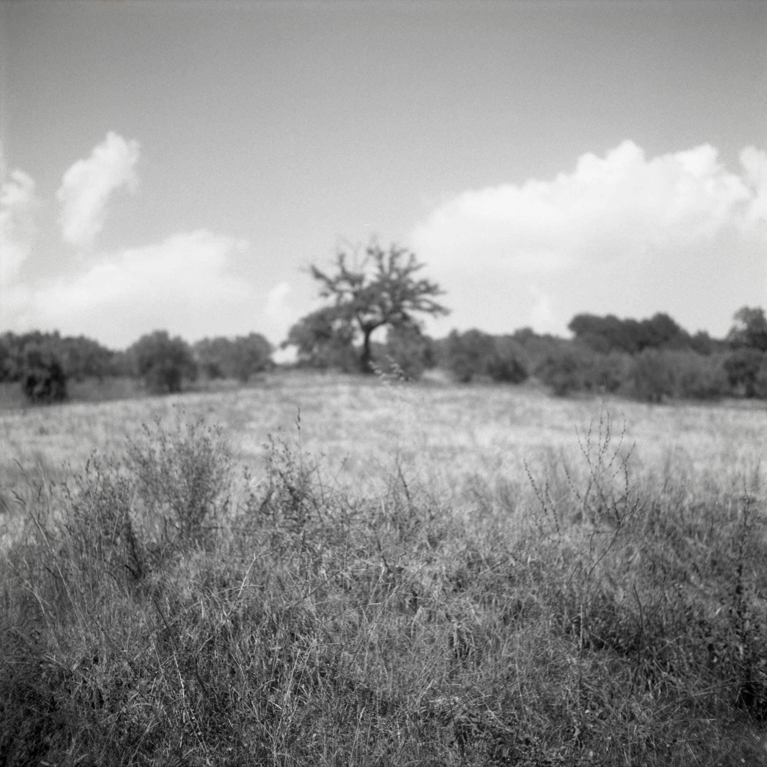 World to Come Toffia, Italy, 2015