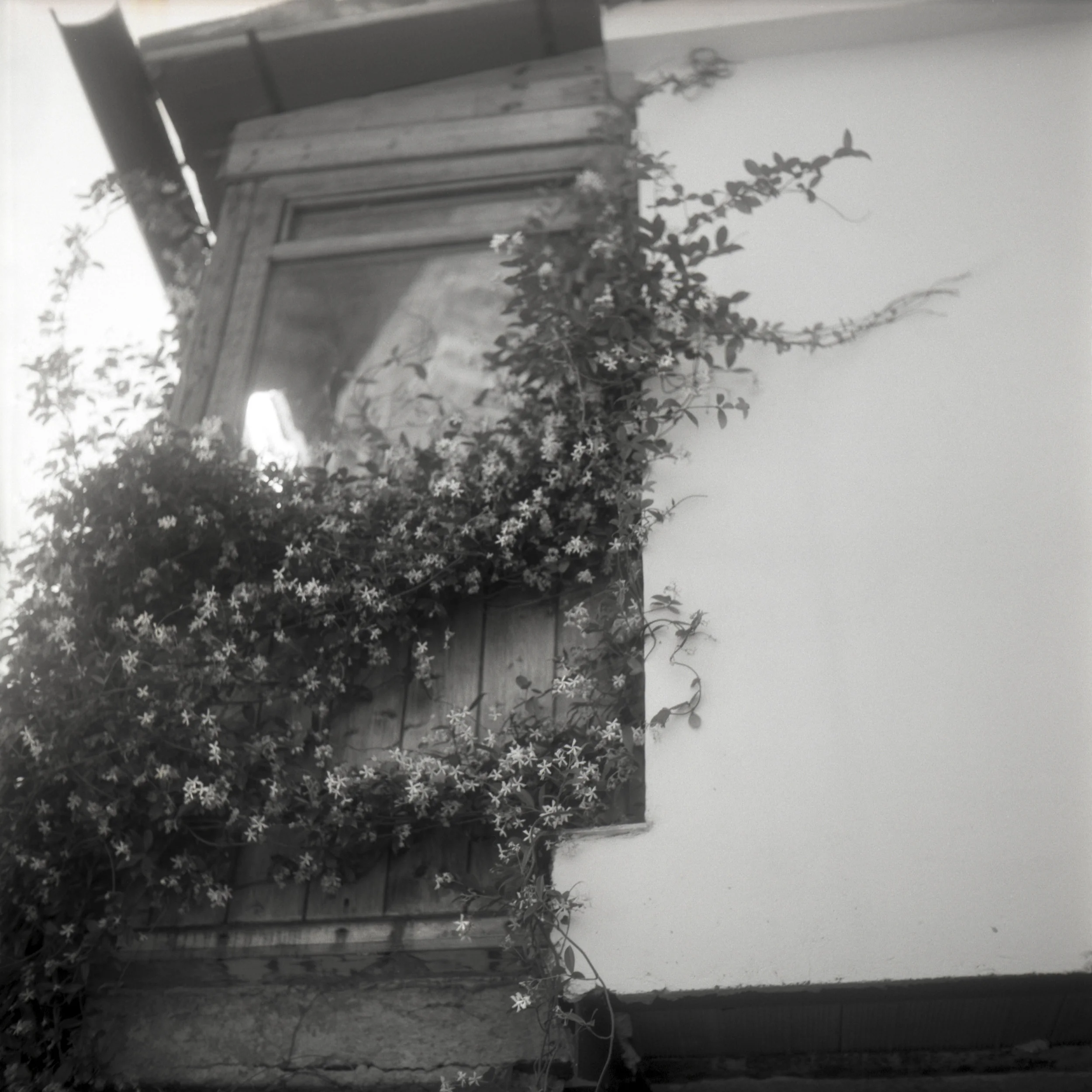 Magic Spells Toffia, Italy, 2015