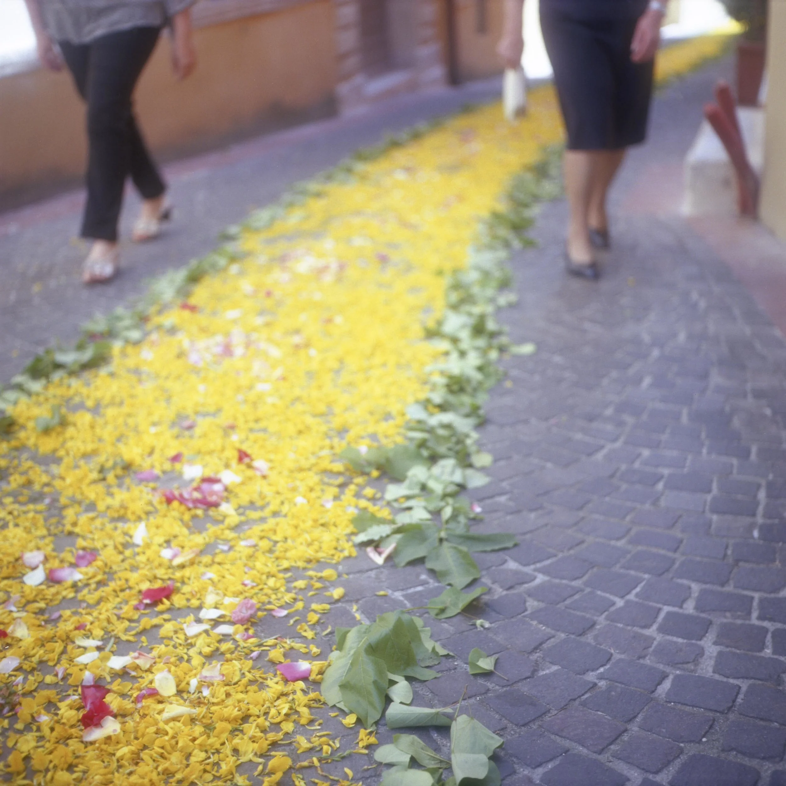 we move outward Toffia, Italy, 2015