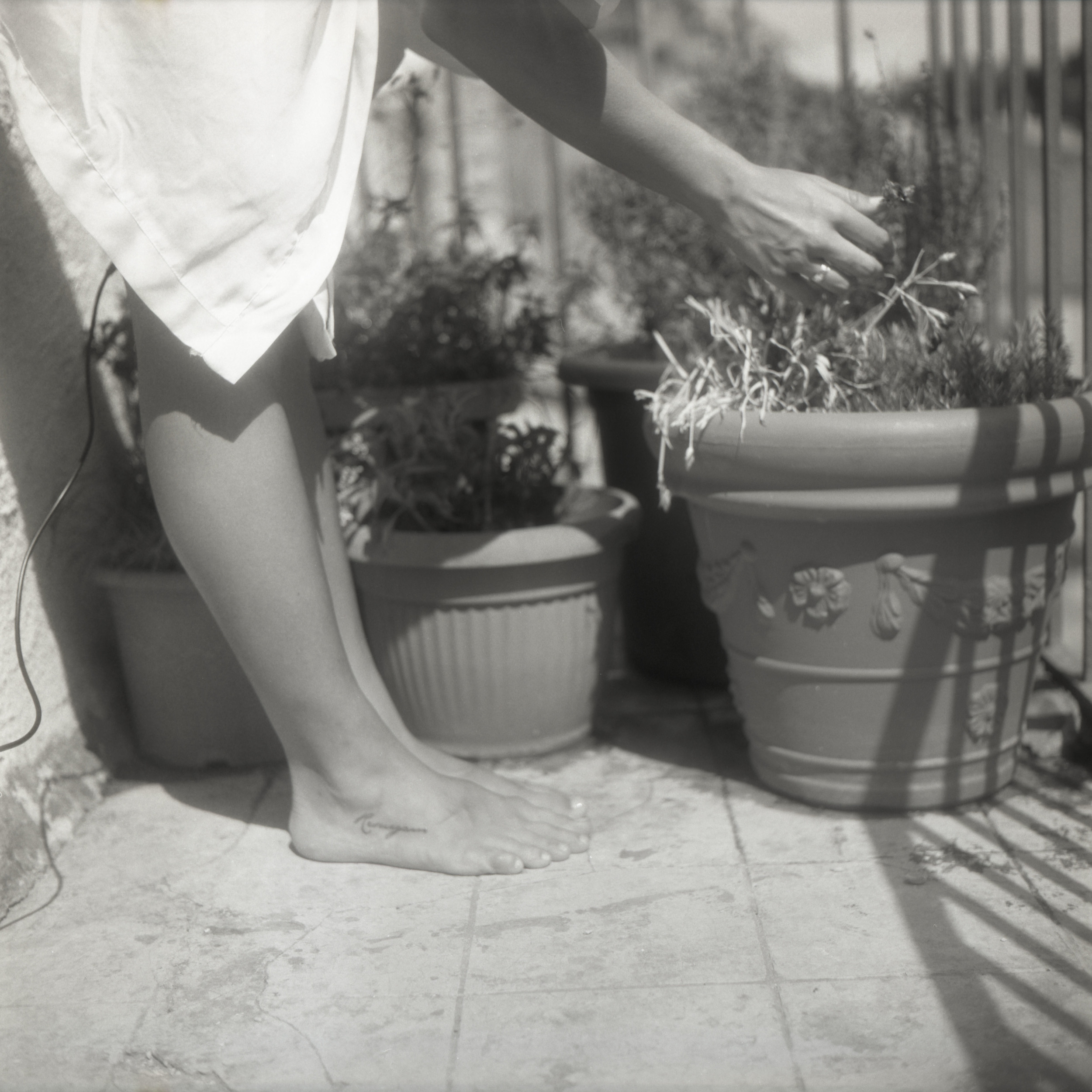 (and I am trying to) love the whole world Toffia, Italy, 2015