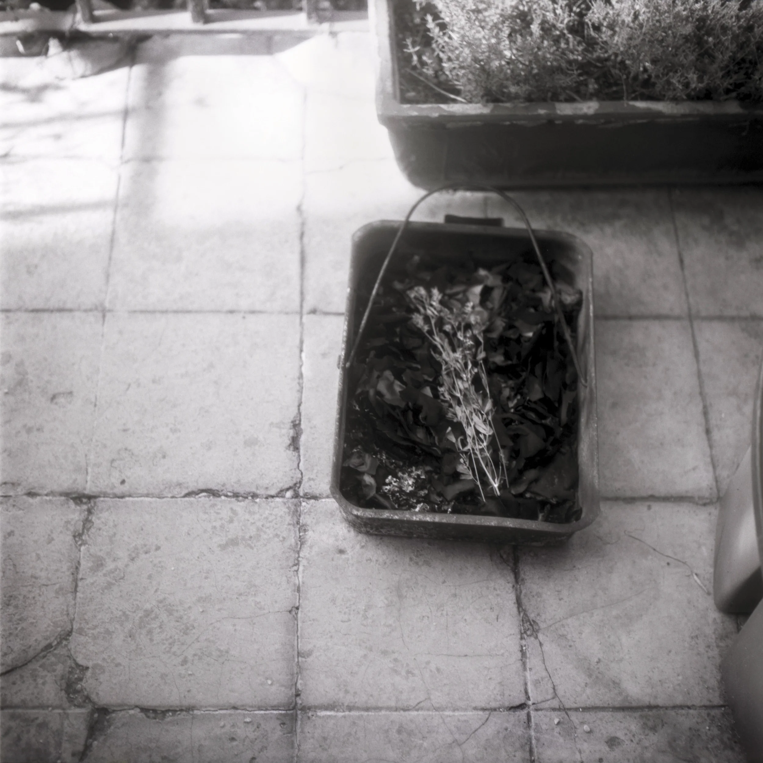coming home Toffia, Italy, 2015