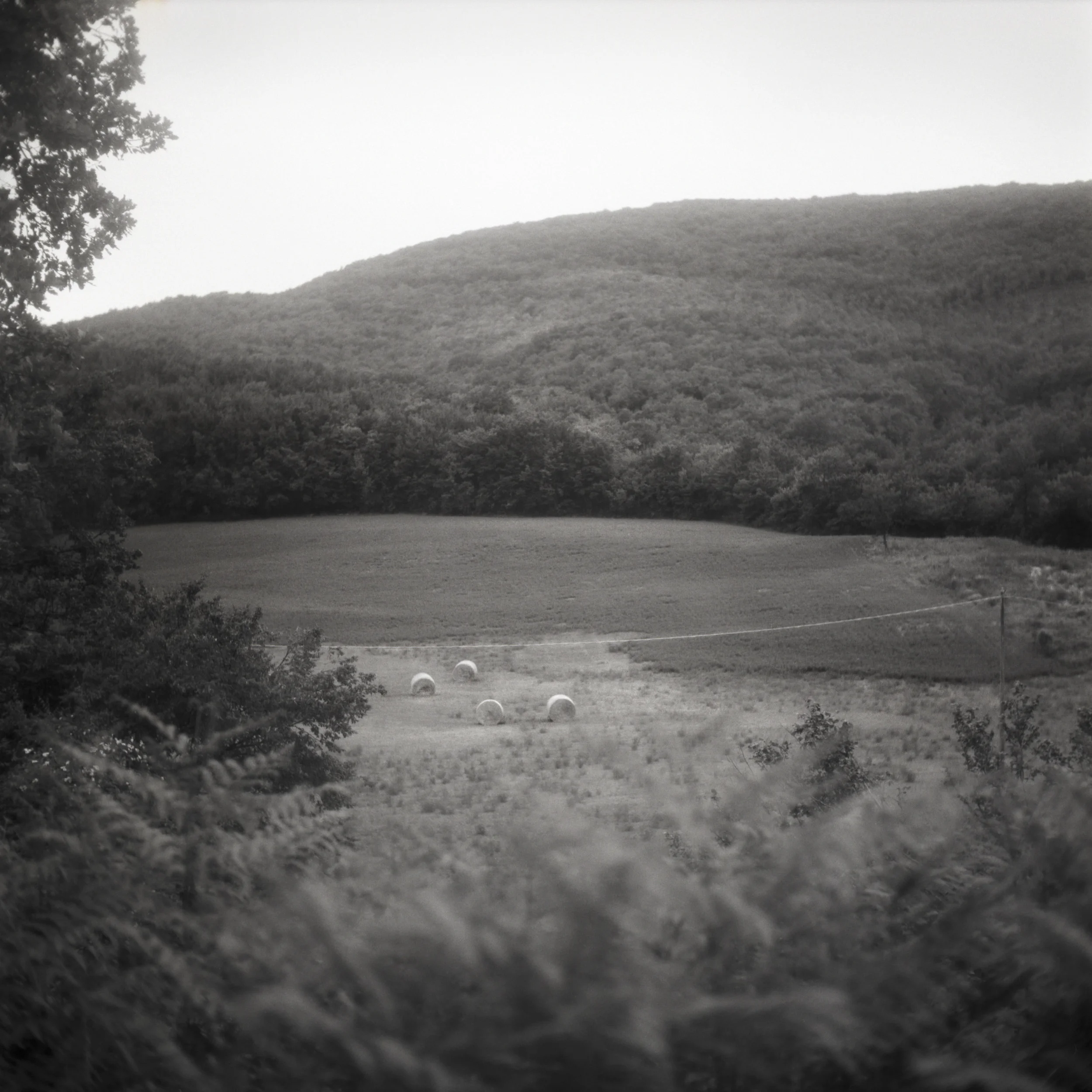landscape, walking Toffia, Italy, 2015