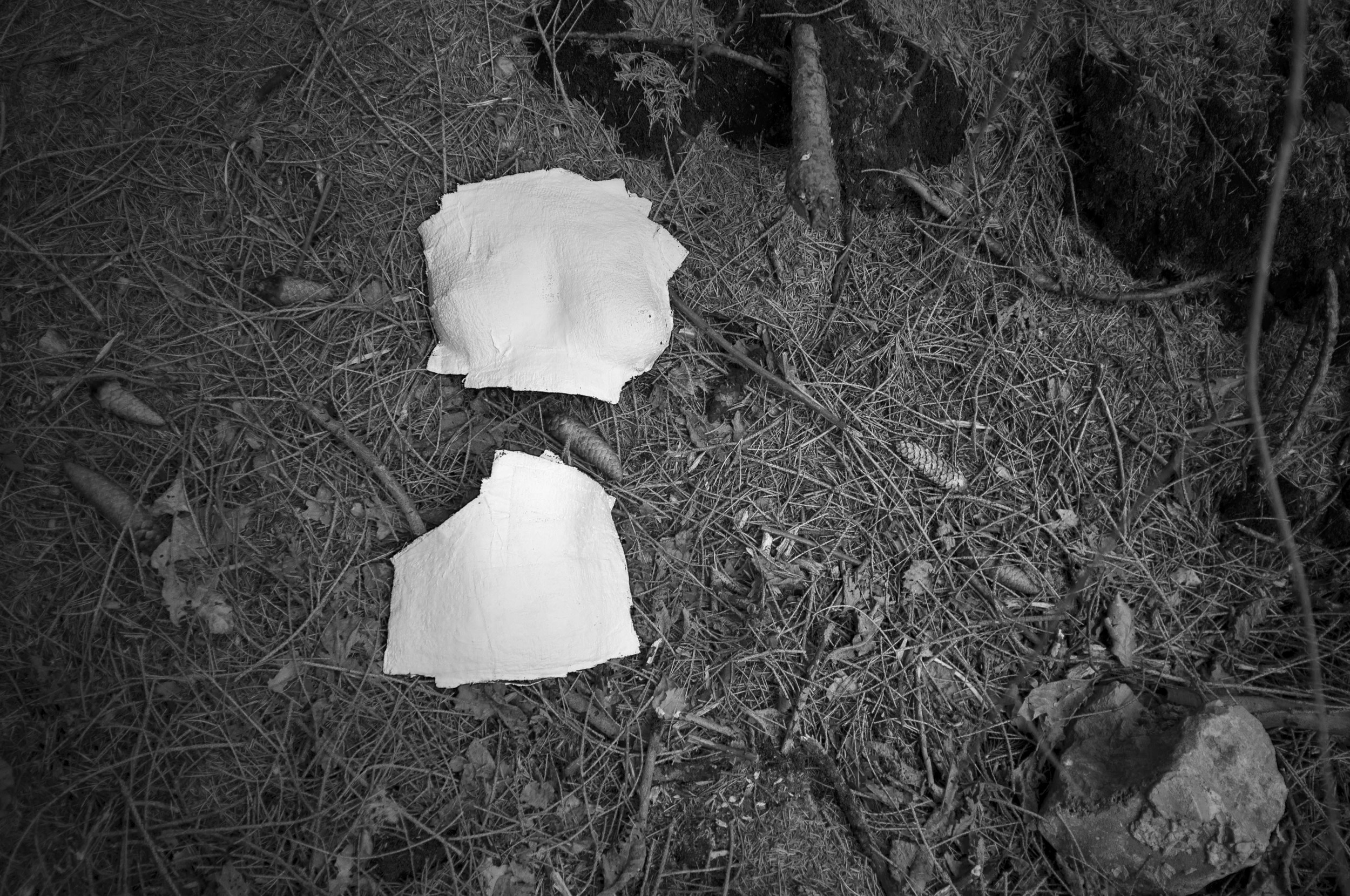 first two Vestiges