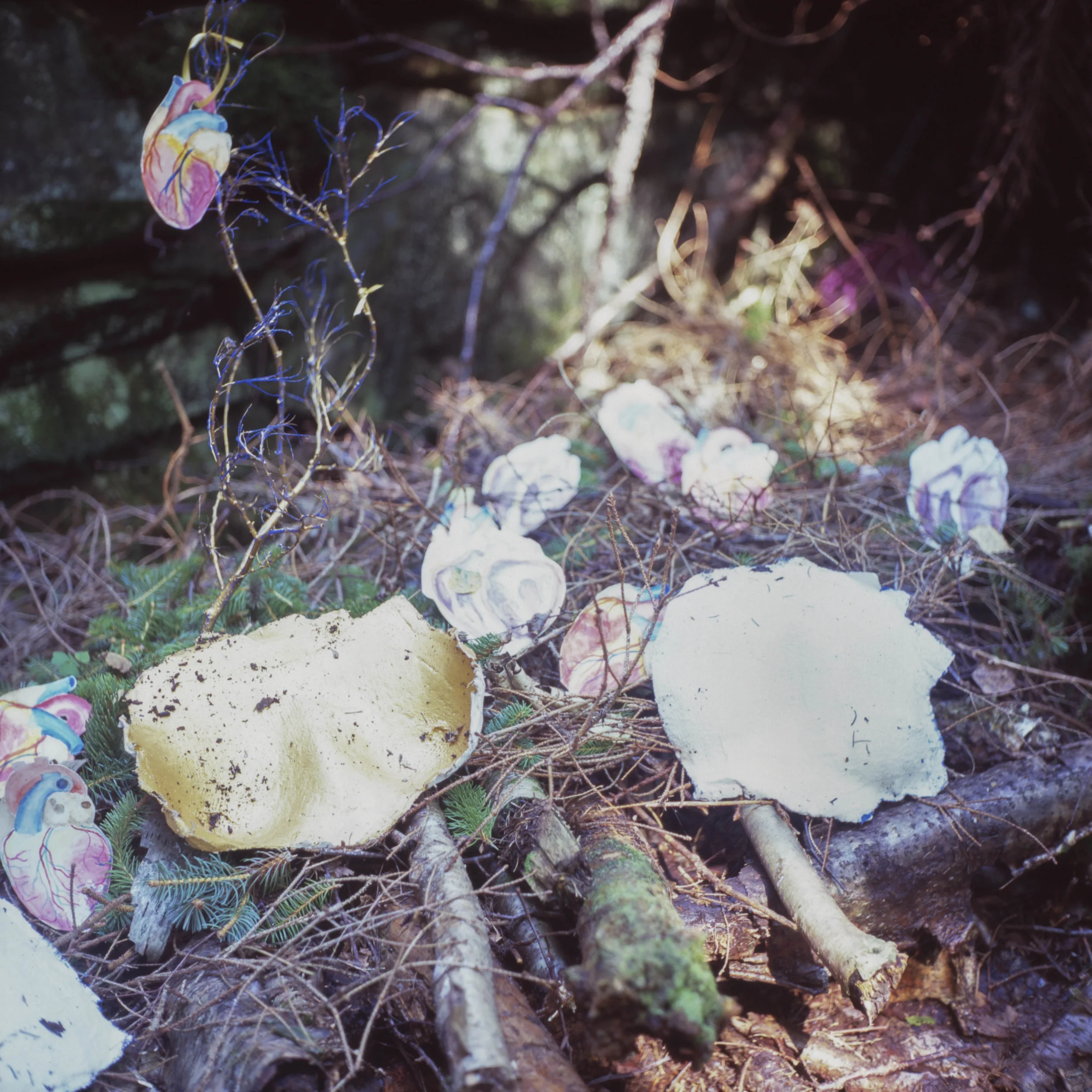 altar(ity) in the woods (it's just a nod to) ōrō is a site-specific performance and installation from 2016, located in a forest outside of Ålvik, Norway from 2016. This work is meant to finish the Vestige performance. On one of my hikes I found what appeared to be a stone ruin of some sort, most likely the remains of an old home. Over the summer I had been making small watercolors of anatomical hearts. The act was less about the paintings and more about settling myself into a rhythm of daily meditation and prayer. Upon unearthing the Vestiges, I realized that the ruin I had found in the woods would be a perfect place to not only “plant” my prayer-hearts, but also my second skins. I cleaned the ruin, and then created an altar inside using materials I found within and around the structure: branches, pine needles, flowers, etc. The act of cleaning up and creating the altar was also a meditative act on my part, a gesture/performance meant to open myself up to beauty. I placed the prayer hearts on and around the altar, as well as the recently unburied Vestiges. I welcomed the local community to process with me from town to the ruin, where they were invited to place flowers and further interact with the piece through a placing of their own prayers. The altar has been left in the woods for anyone to visit and interact with. The watercolor hearts and plaster casts will eventually dissolve into the earth, transformed by the rain, finally being “planted”.