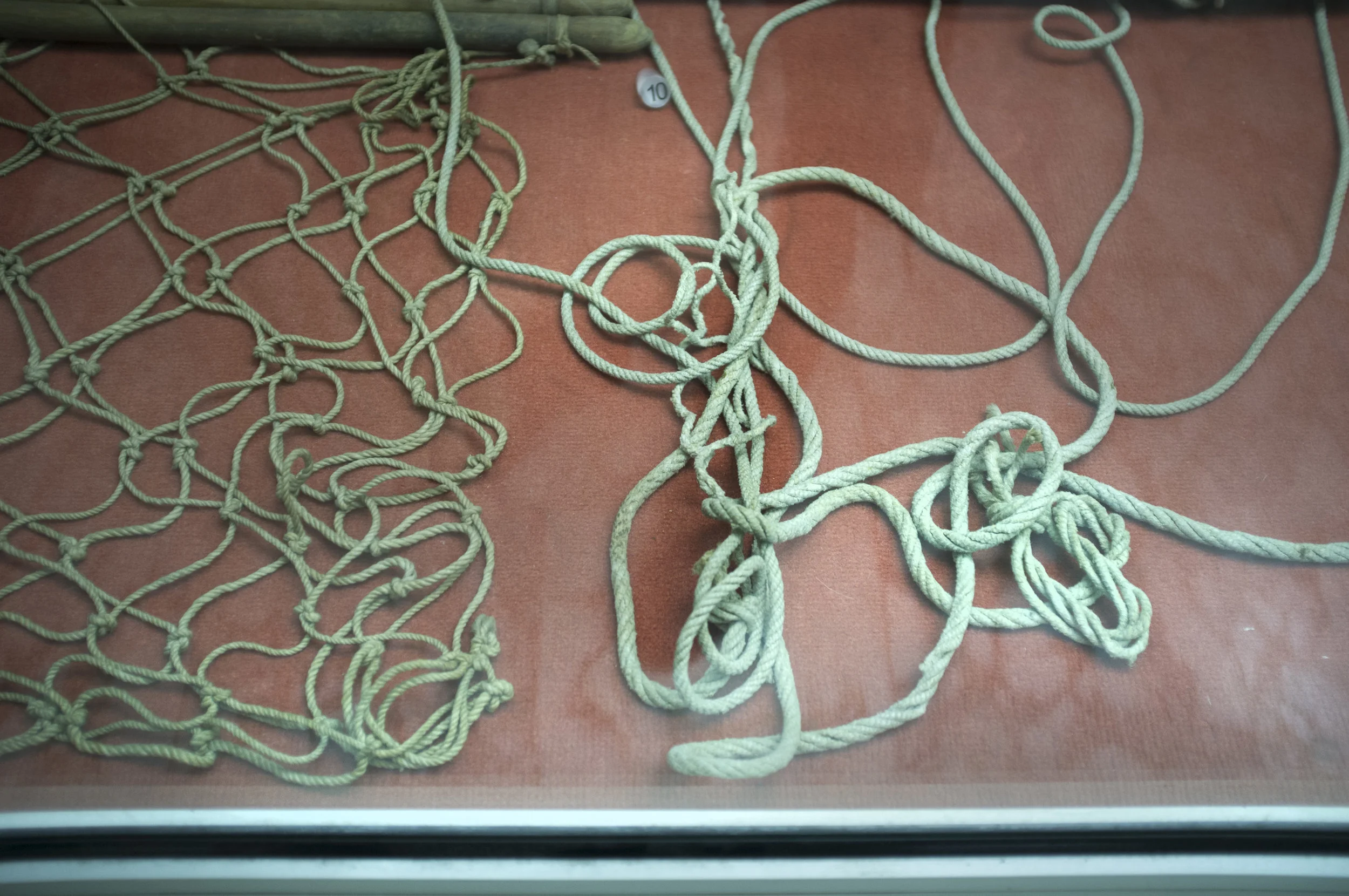 tangled.jpg