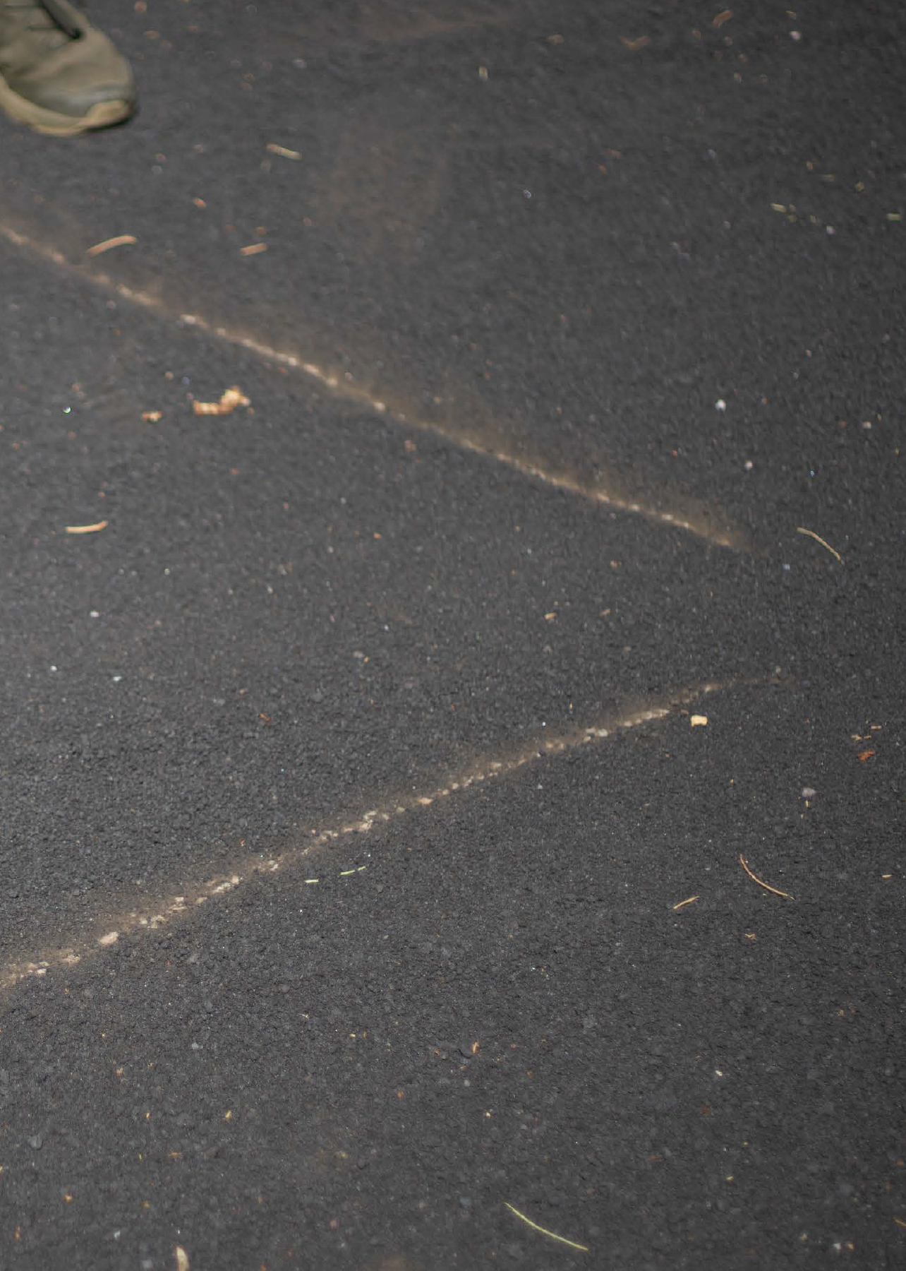 Screen Shot 2023-12-30 at 10.38.50 AM.png