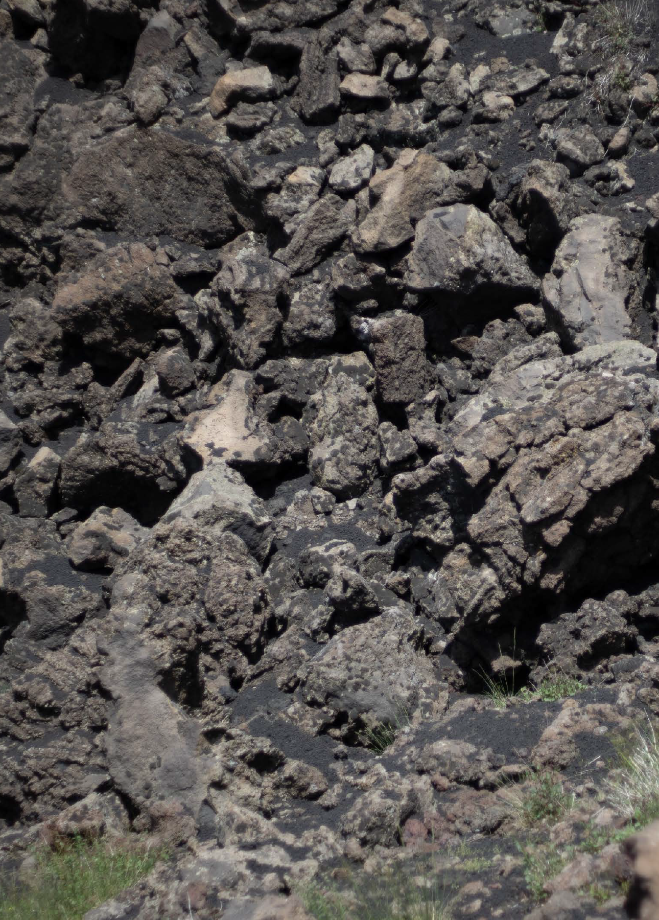 Screen Shot 2023-12-30 at 10.39.08 AM.png