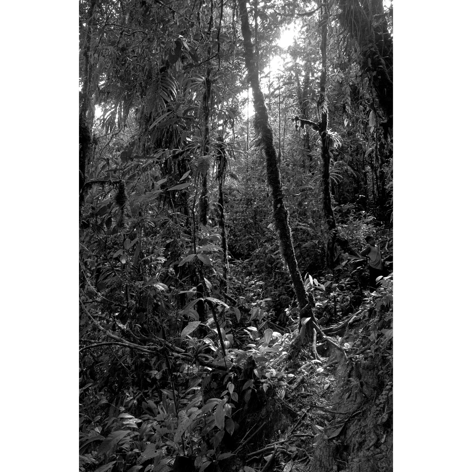 COL3-Mar 17-094 to print.jpg