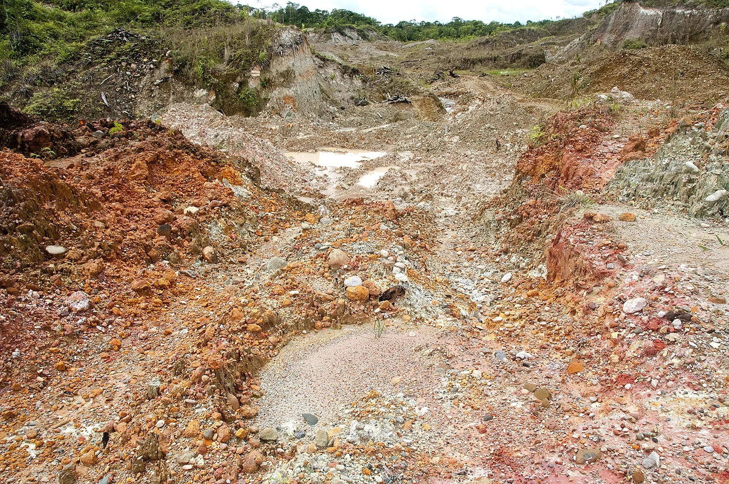 COL12-08-08-146.jpg