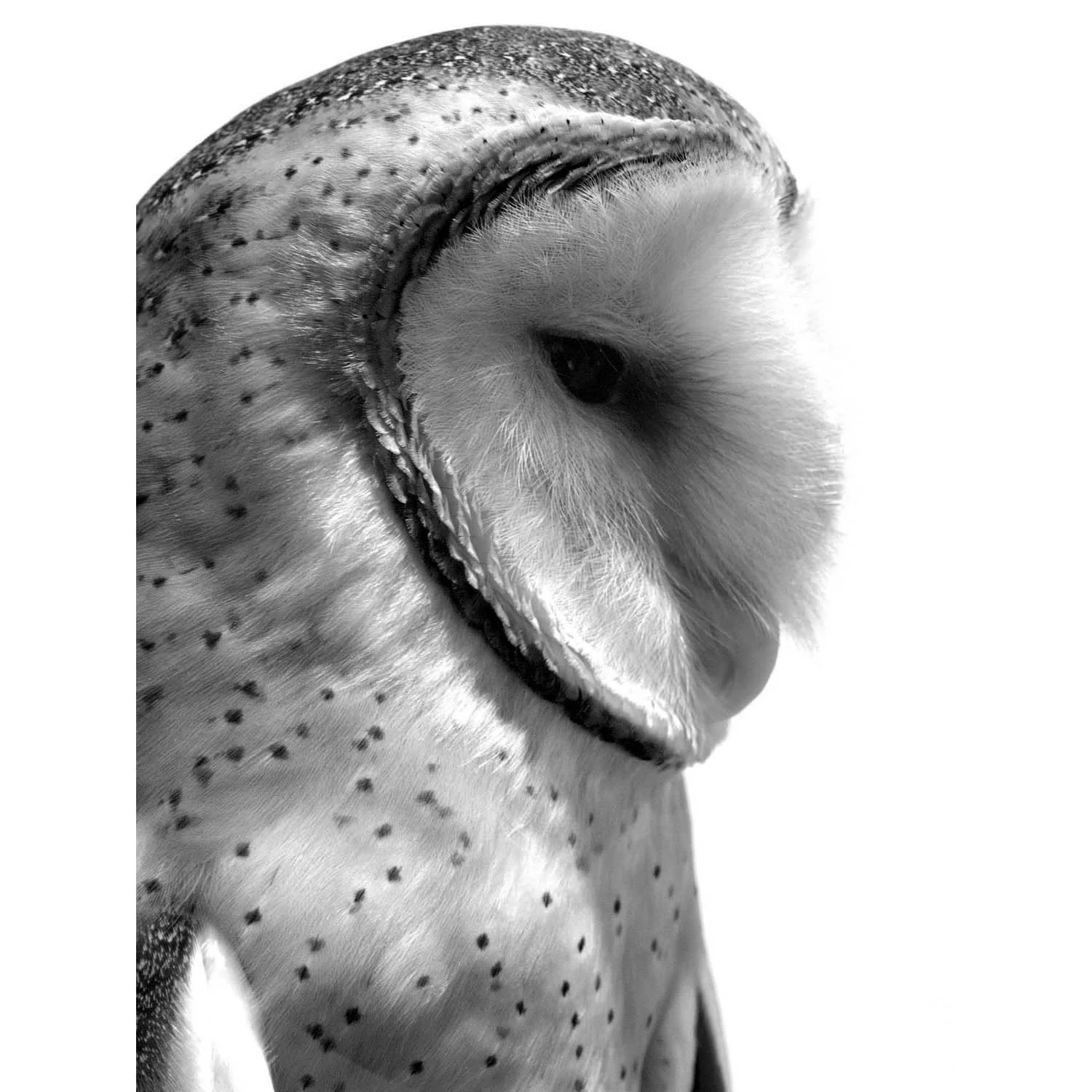 Mar 2014-096C.jpg