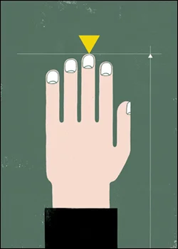 Dactylion. An anatomical landmark located at the tip of the middle finger.