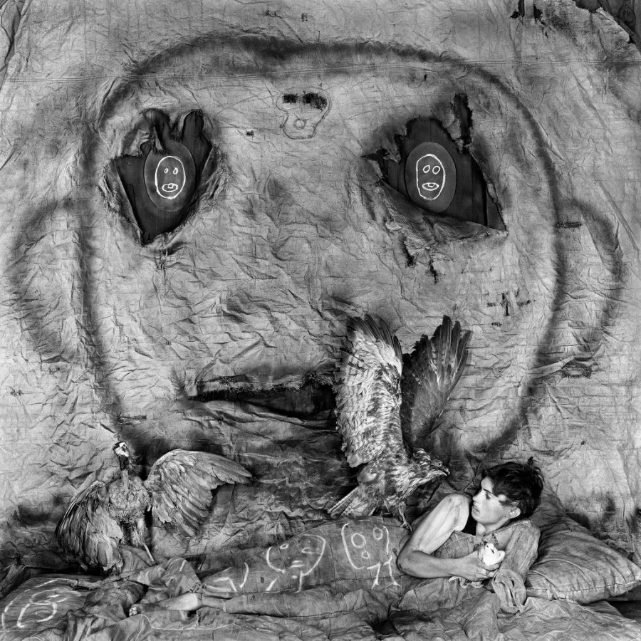 Roger Ballen: Asylum of the Birds at CIRCA gallery, JHB