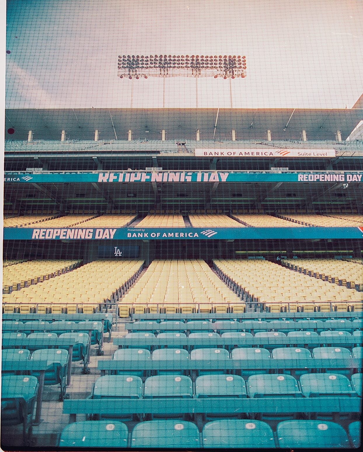 Dodger Stadium Reopening Day 2021 pregame 
.
#cinestill800t #shootfilm #35mm #iconla #grainisgood #35analog #staybrokeshootfilm #analoguevibes #newtopographics #12amzine #pellicolamag #lekkerzine #artsclassified  #taintedmagetczine #insidephotos #thi