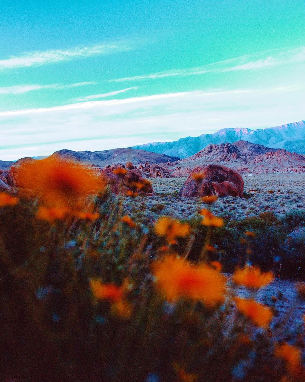 Alabama Hills.
.
#portra400 #120 #mediumformat #shootfilm #pentax645 #grainisgood #staybrokeshootfilm #filmmaking #analoguevibes #bluehour #california #simonstalenhag #photocinematica #thefilmgang #349amcollection #analogue_people #visualgrams #think