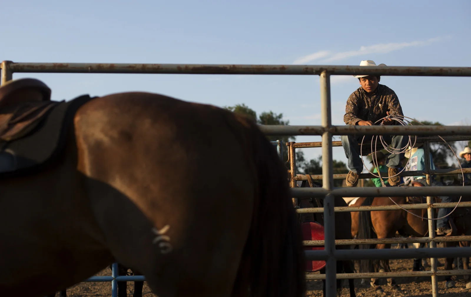 Blog-Rodeo-7.jpg
