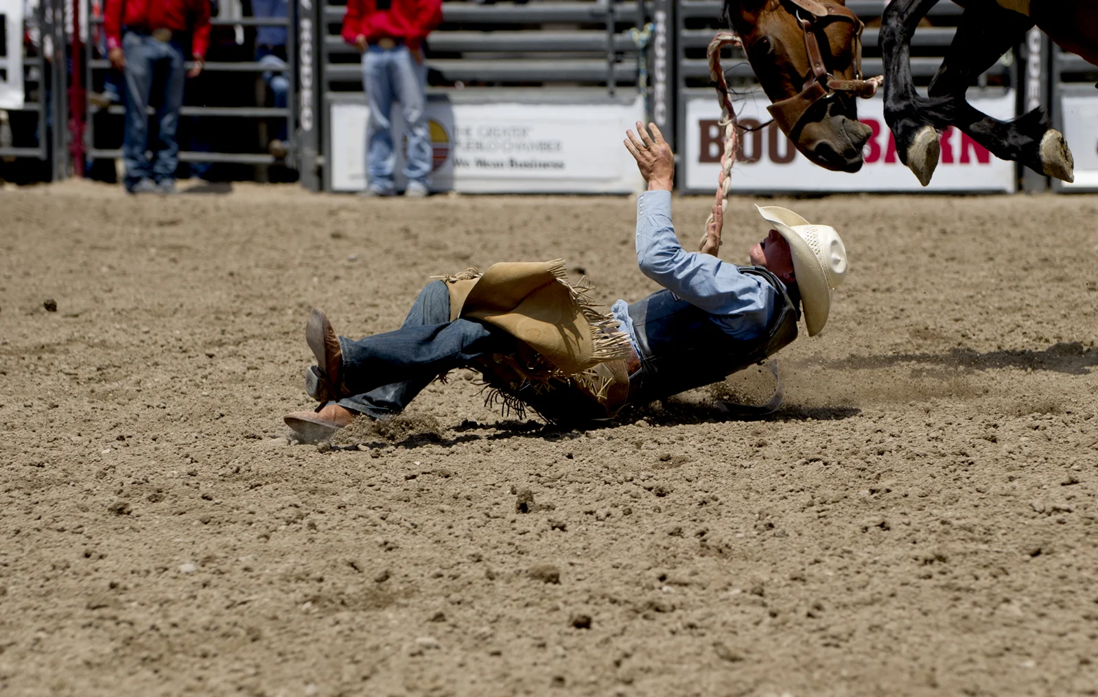 Matthew Ellender falls off his bronc during the Little Britches Senior Saddle Bronc competition Saturday, July 27 2013 at the Pueblo State Fairgrounds.