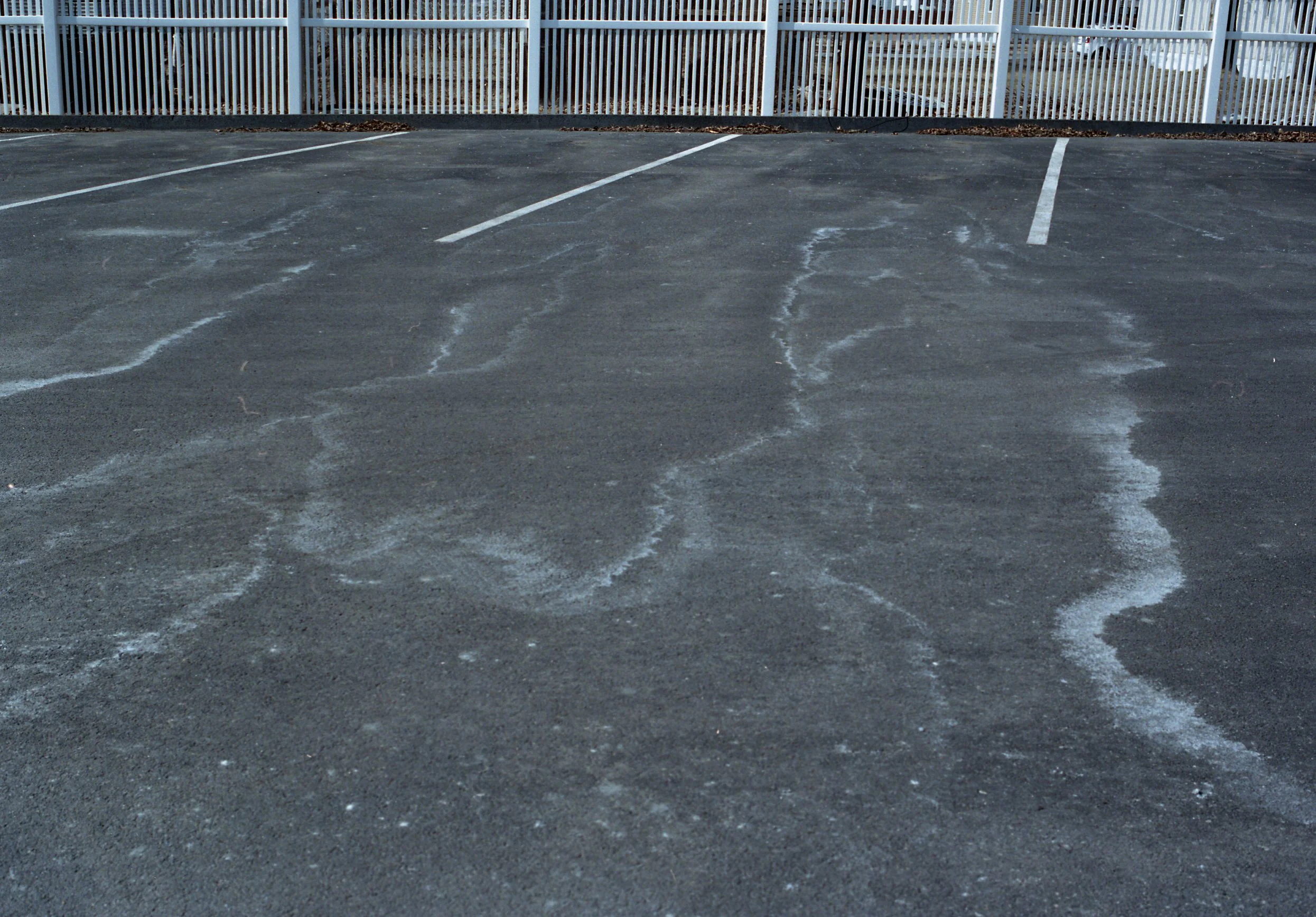 img030.jpg