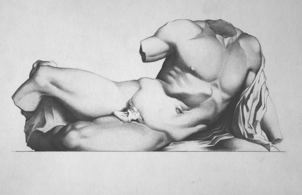 torso.jpg