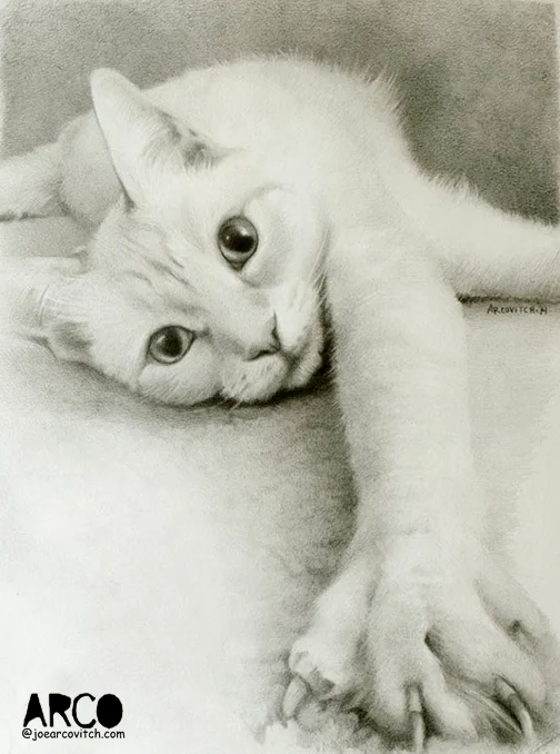 cat_Stevens.jpg