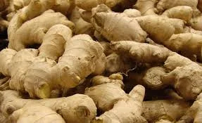 ginger3.jpeg