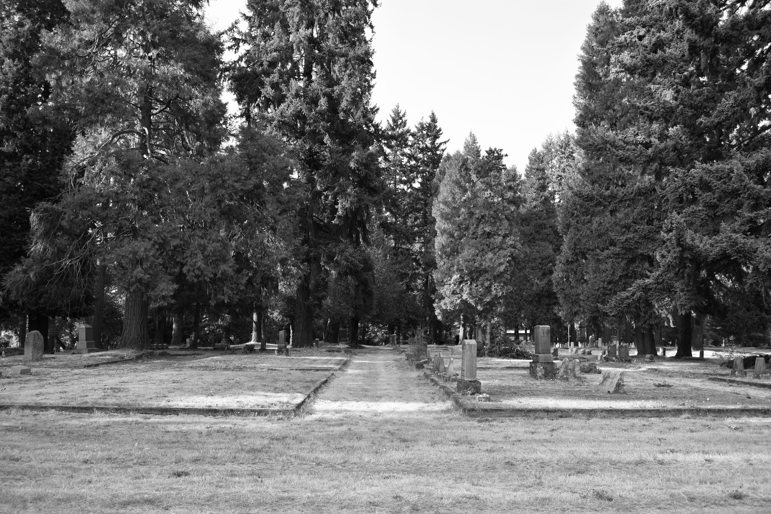 Cemetery Aisle