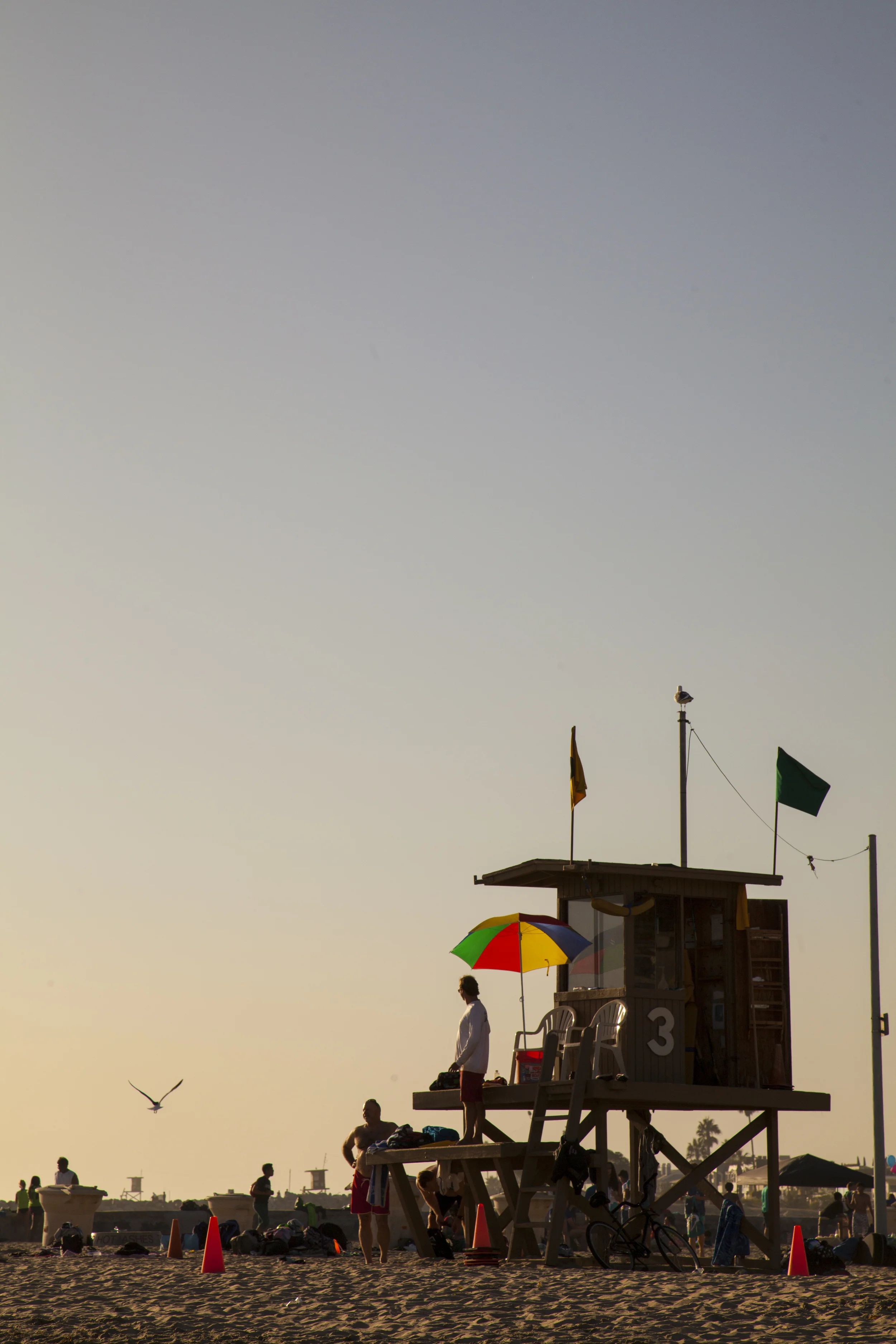 Danelle M Taylor525.JPG