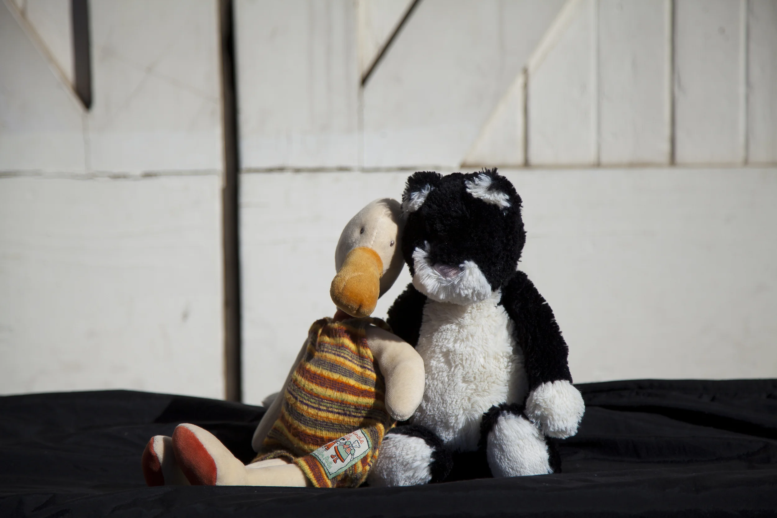 Danelle Taylor4920.JPG