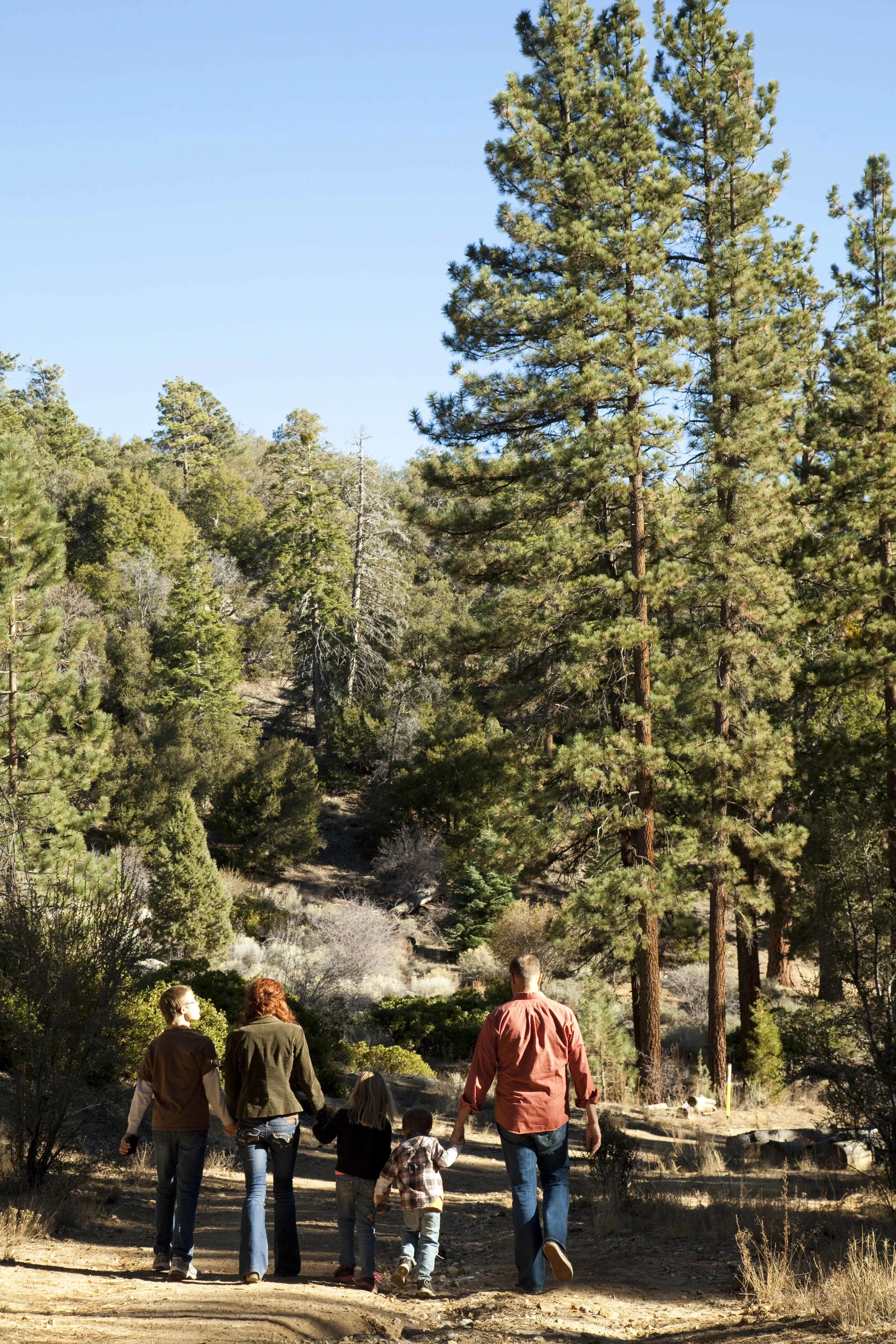 Danelle Taylor 00380.JPG