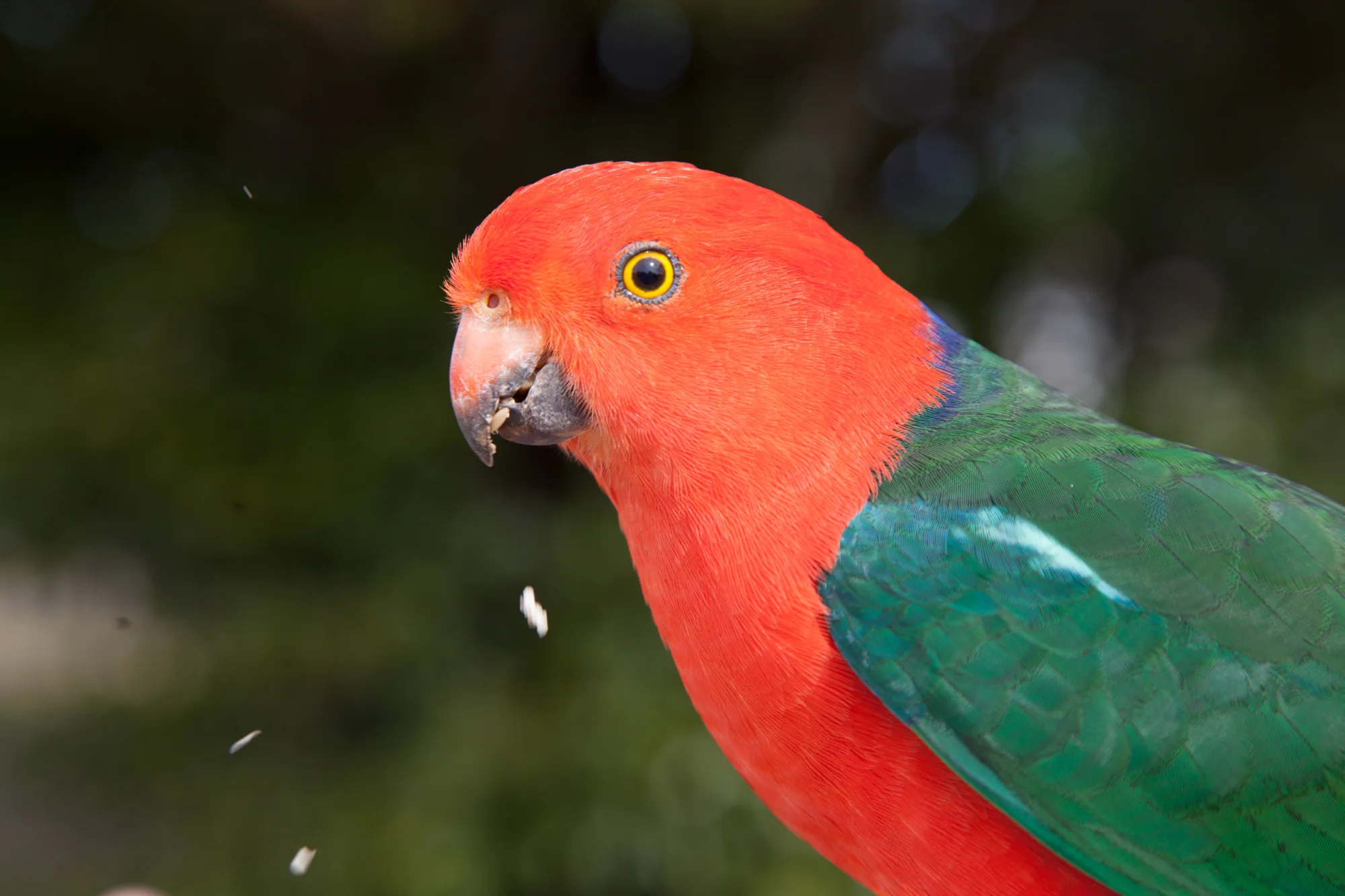 Danelle Taylor11592.JPG