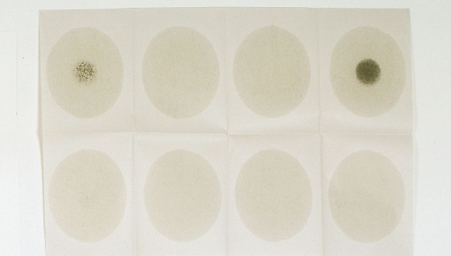 Tiago-Duarte-Secondary-Object-633x360.jpg
