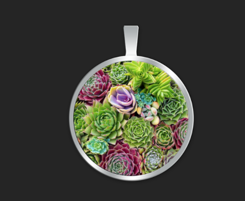 Succulent Bliss small round $35