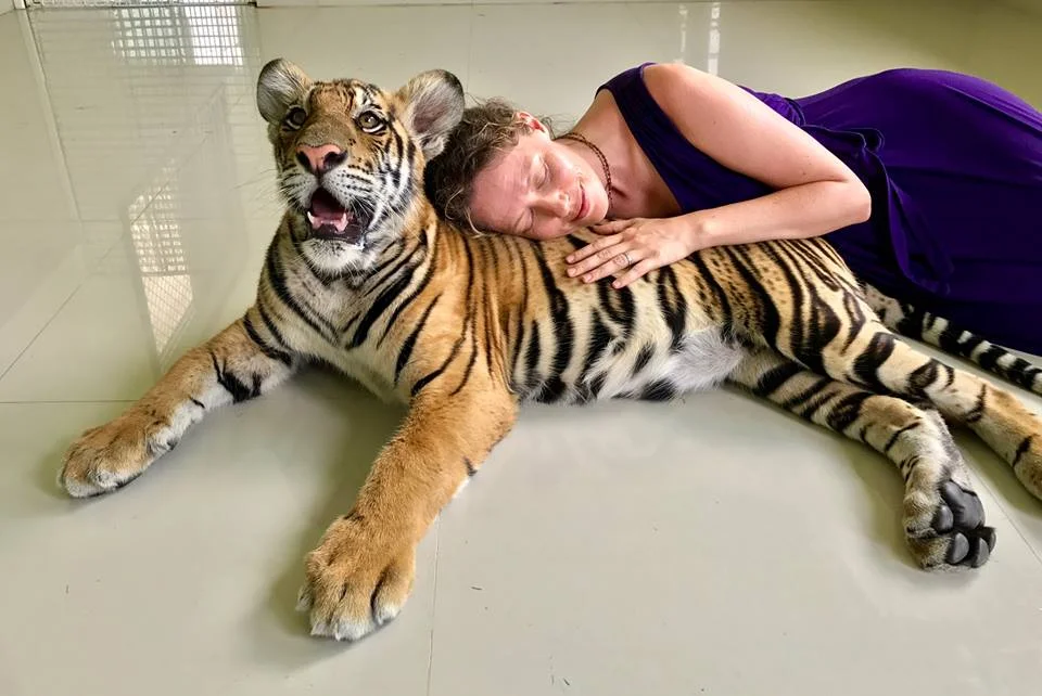 Thailand Tiger Sanctuary 2017