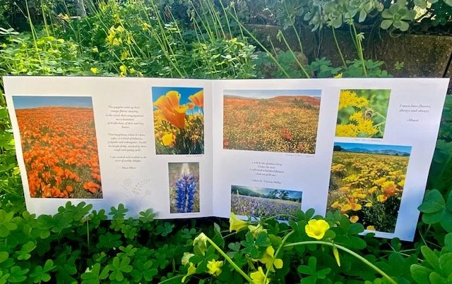 flowers page outside photo.jpeg