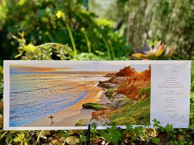 surfer shot outside photo.jpeg