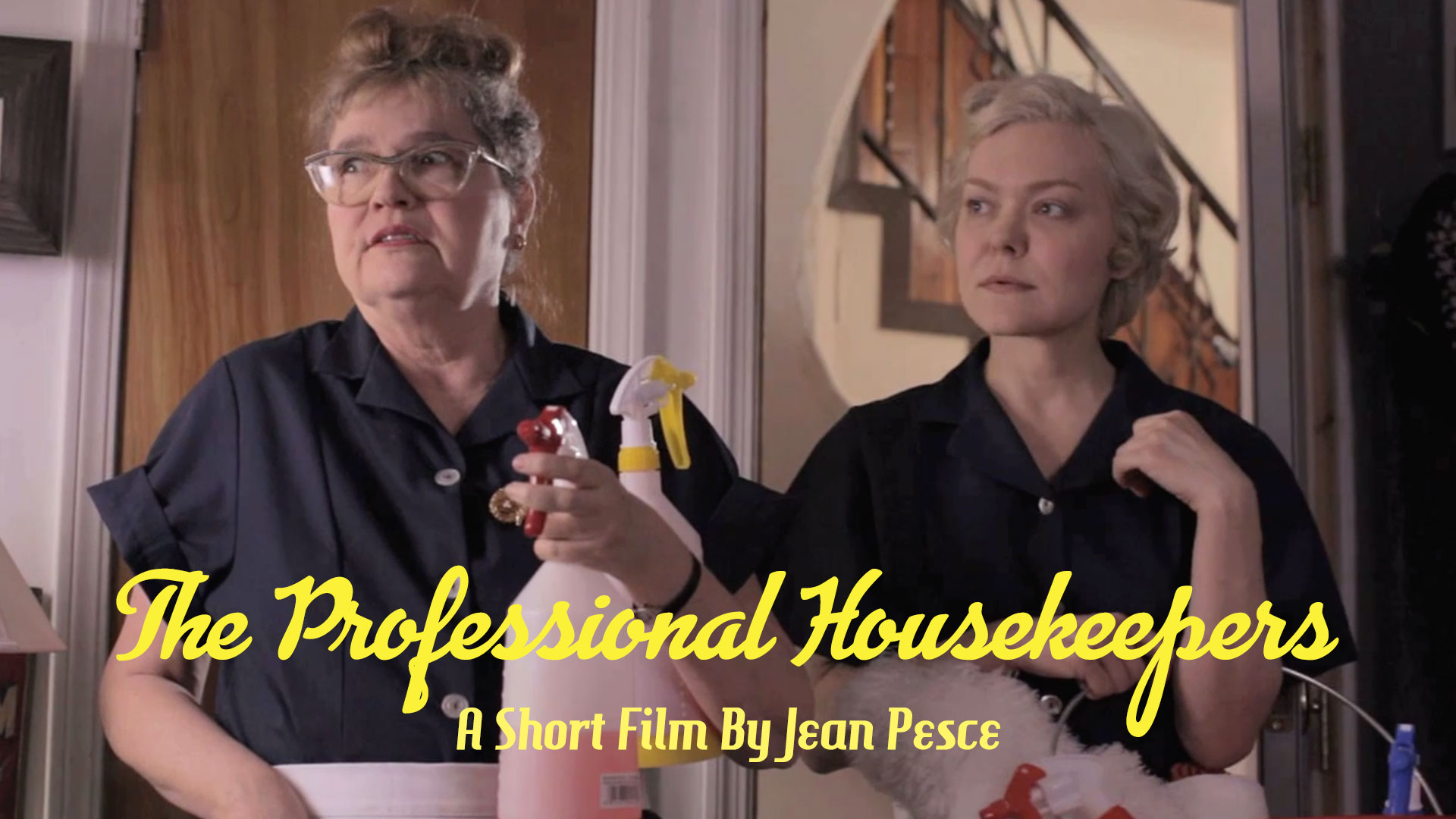The Professional Housekeepers