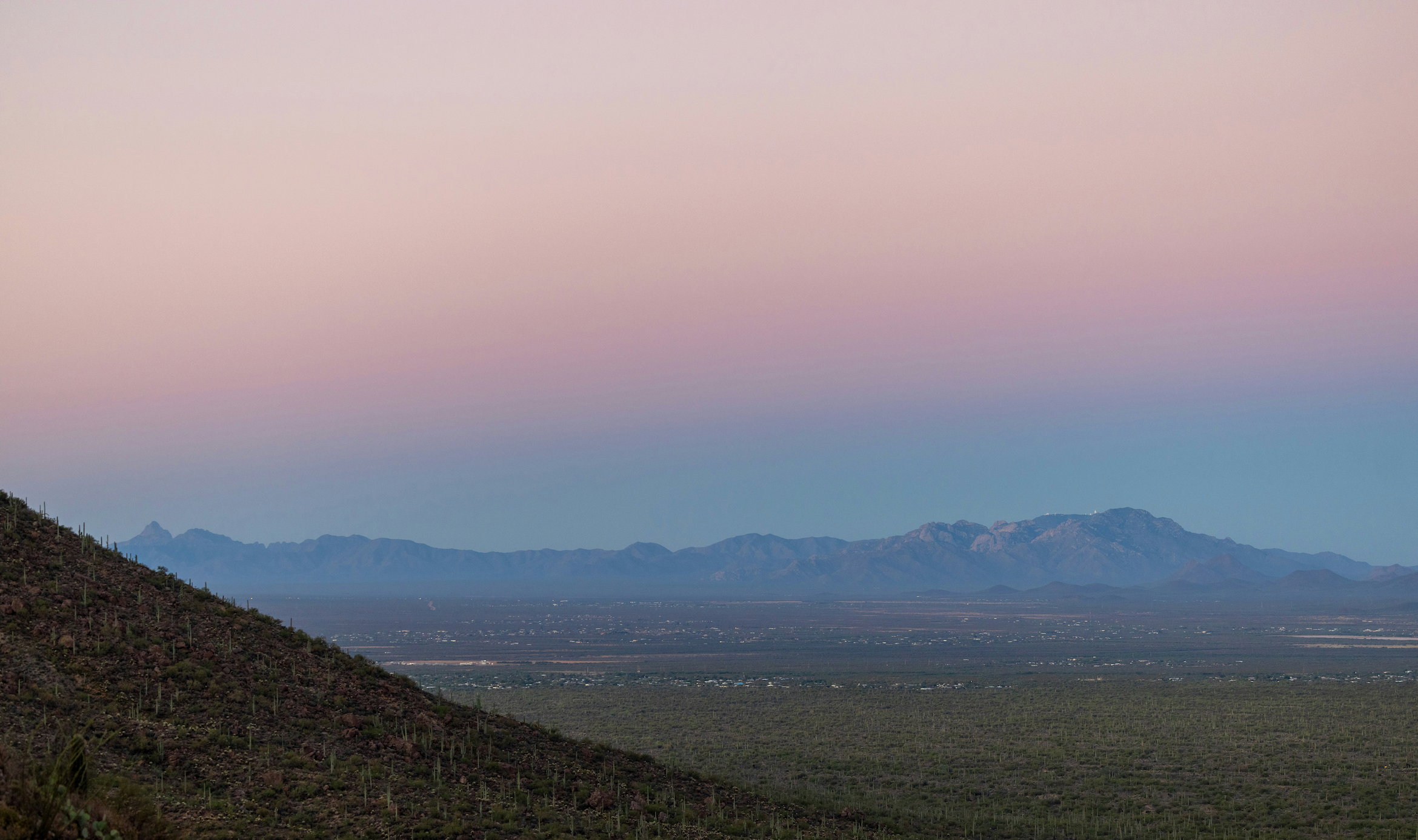 Screenshot 2026-02-01 at 12.09.42 PM.png