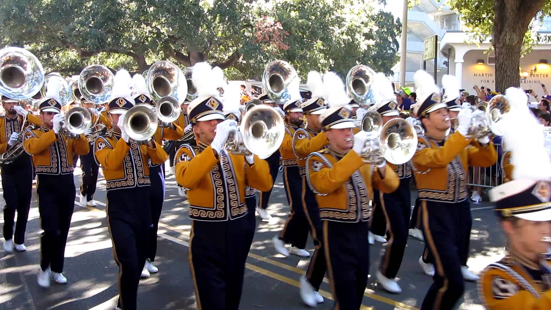 Mardi Gras Band 2.jpg