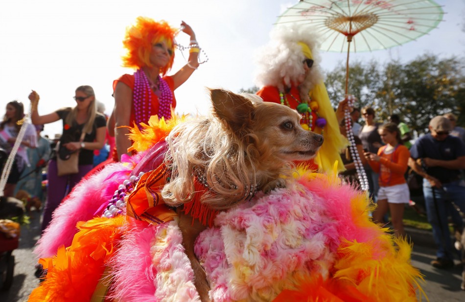 mardi-gras-2013-new-orleans-mobile.jpg