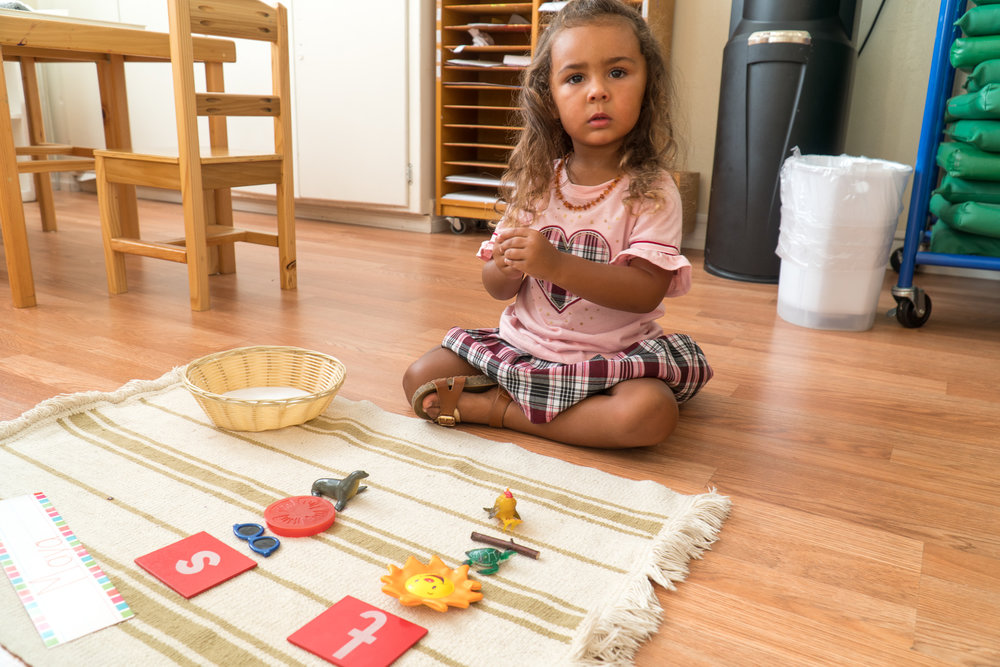 MONTESSORI TODDLER: INTRO TO PAINT CAKES – French Family Montessori
