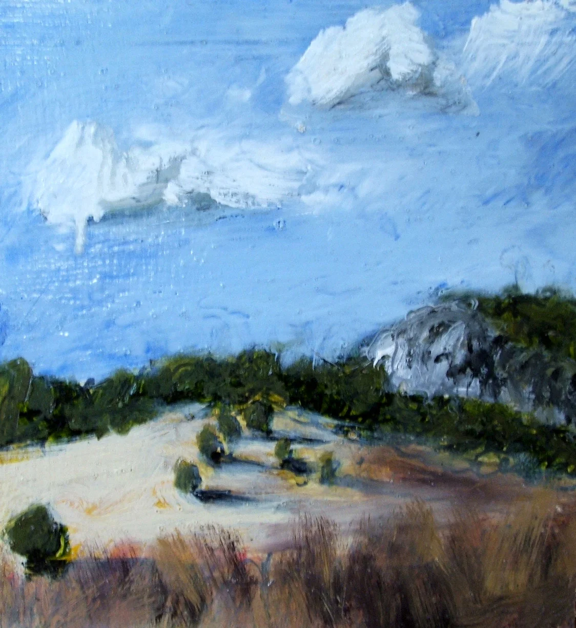 cooyar-landscape-(oil-on-ply)-30x30-2005.jpg