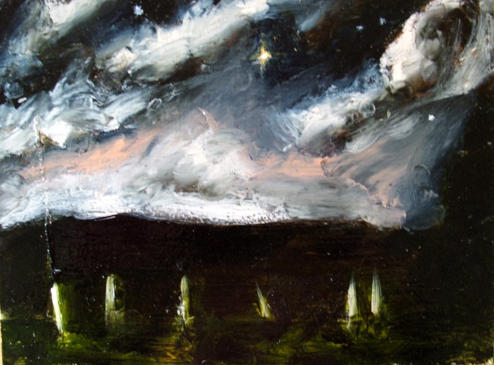 palmtree-nocturne-2006-50x40-(oil-on-ply).jpg