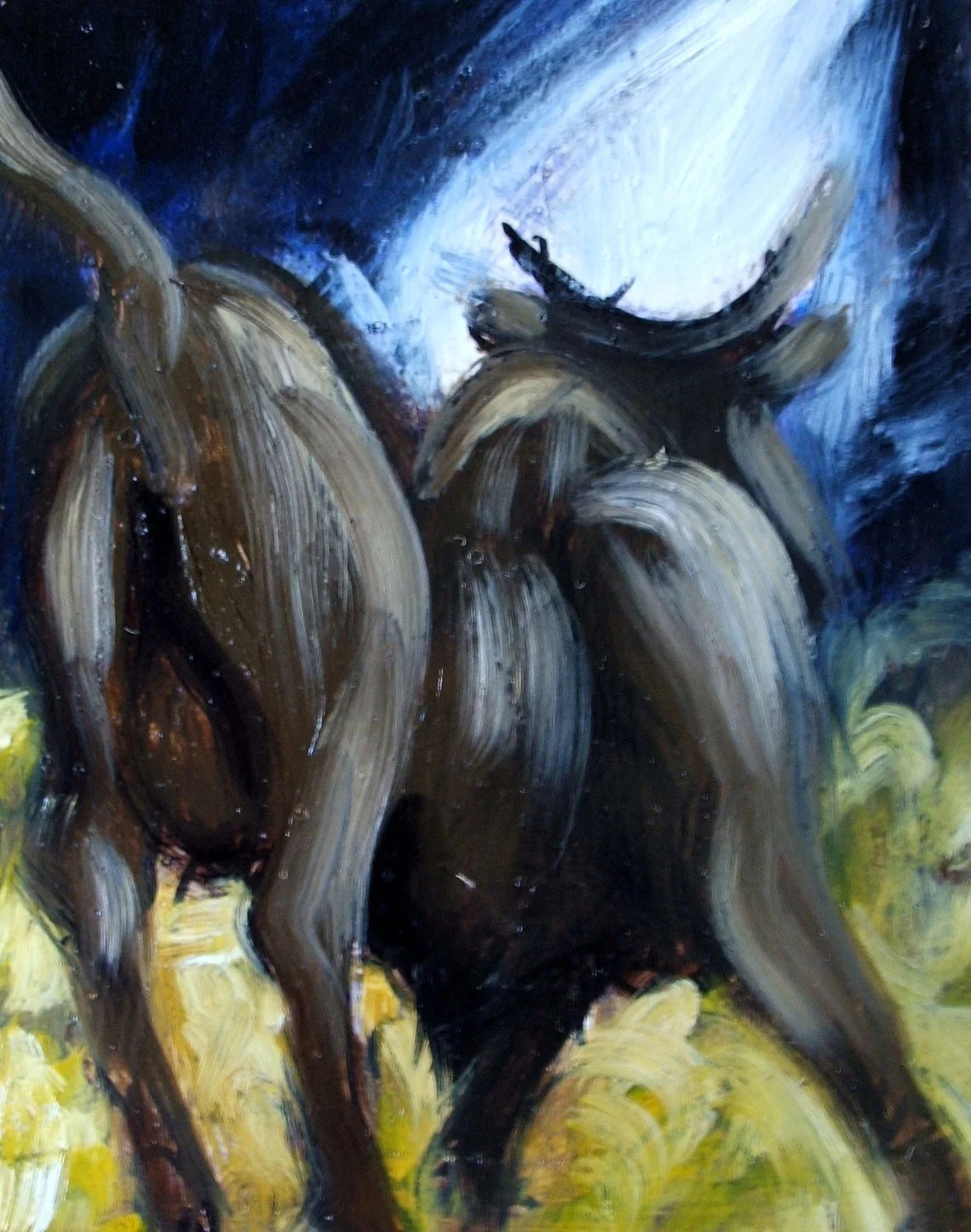riderless-bull-cooyar-(oil-on-ply)-50x50-2006.jpg