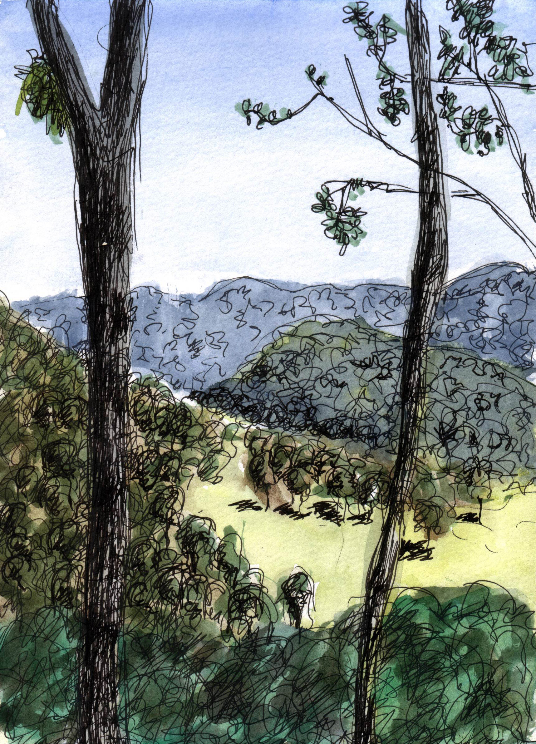 conondale-looking-west.jpg